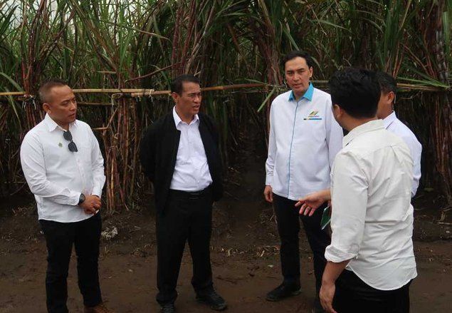 Kejar Target Swasembada Gula di 2027, Kementan Fokus Tingkatkan Produksi Tebu