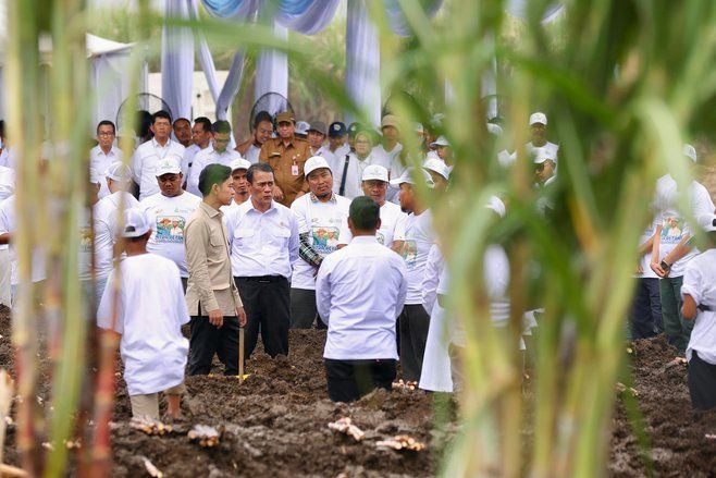 Pangkas Biaya Transport, Petani Tebu Minta Proyek JLS Jember-Banyuwangi Diselesaikan