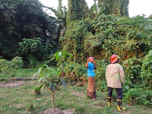 Lagi, Bocah Diserang Monyet Liar di Jombang dan Terluka