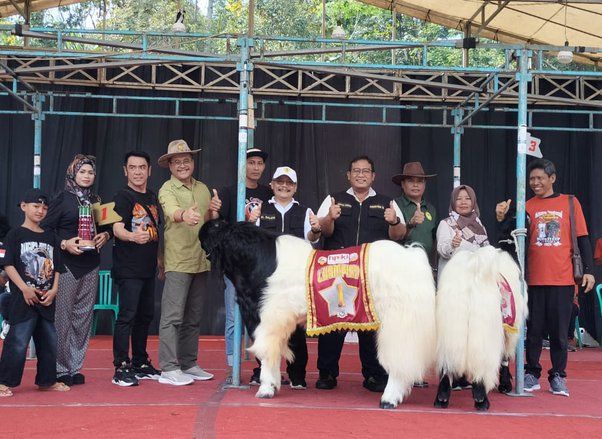 Jombang Melestarikan Kambing PE Kaligesing Melalui Kontes