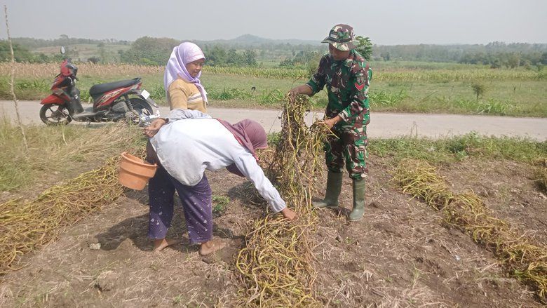 Belajar dari Petani Kangkung Benih, Personel TMMD Kodim Jombang: Ilmu Berharga