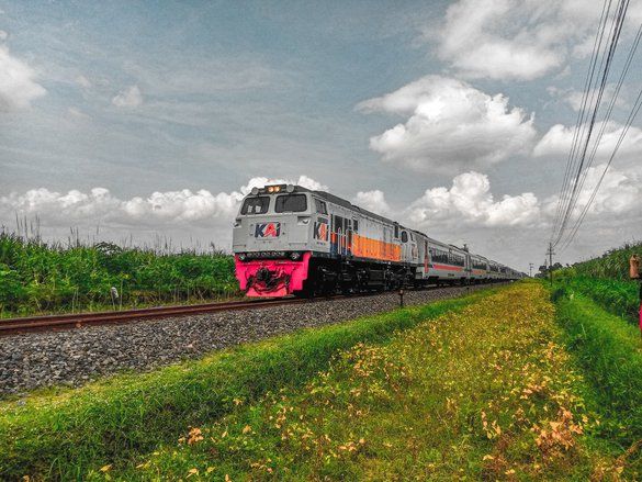 Hindari Orang di Jalur Rel Kereta, KA Logawa Berhenti Darurat di Banyuwangi