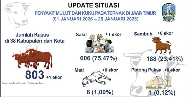 PMK di Jatim Meningkat di Awal 2026, Disnak: Cuaca Hujan Berdampak pada Kesehatan Hewan
