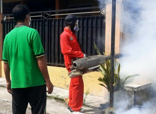 Dua Bulan, 41 Warga Gresik Suspek Chikungunya