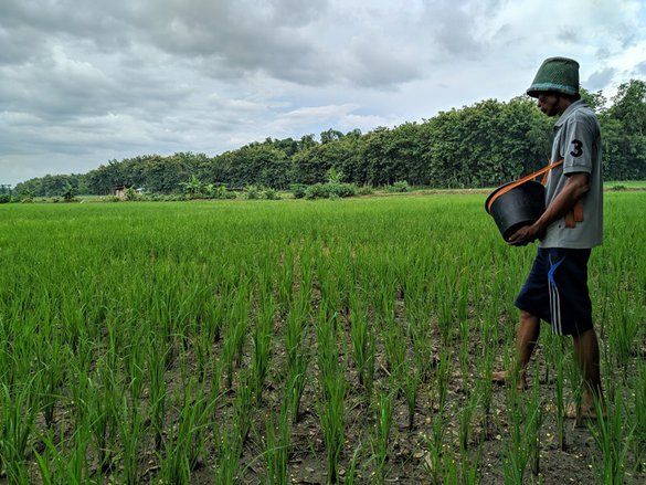 Jatah Pupuk Bersubsidi di Ponorogo Tahun 2021 Berkurang