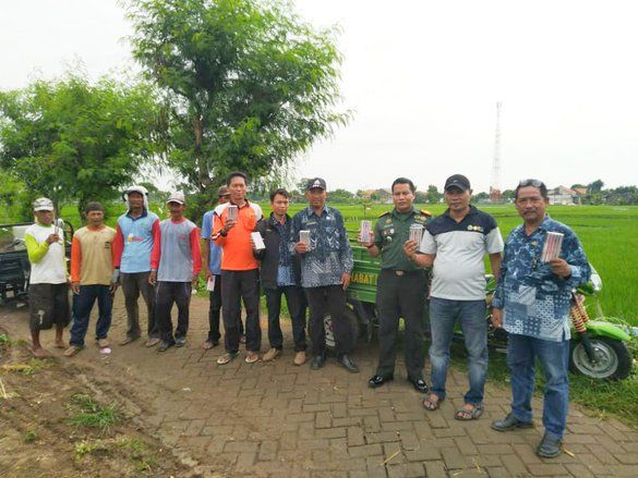 Basmi Hama Tikus, Petani Diimbau Rawat Burung Hantu