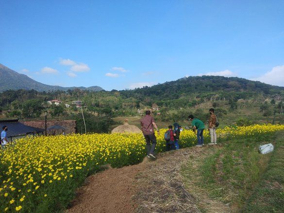 Brenjonk, Wisata Edukasi Pangan Organik dan Spot Selfie Tanaman Refugia