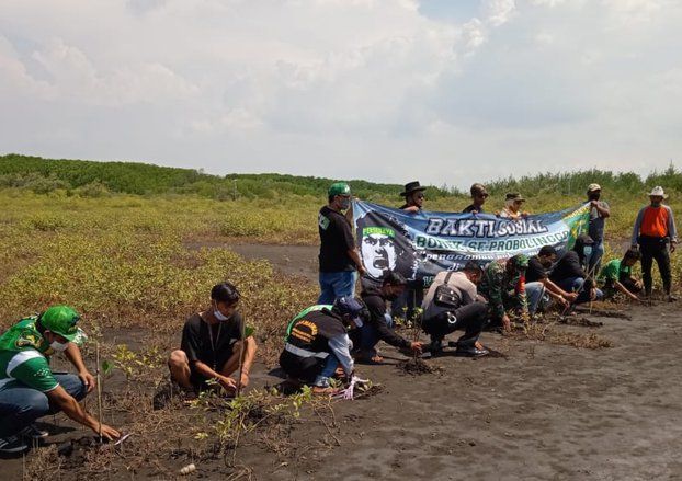 Peduli Lingkungan, Bonek di Probolinggo Tanam Pohon Bakau