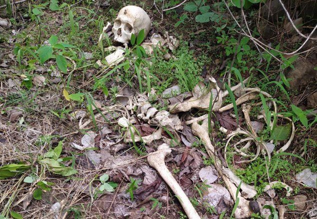 Misteri Temuan Kerangka Manusia di Hutan Krucil Probolinggo