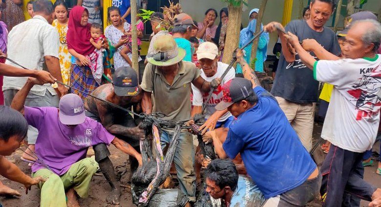 Wanita di Probolinggo Tewas Usai Terperosok Septic Tank