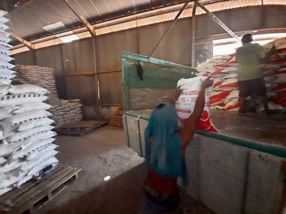 Pemerintah Kurangi Alokasi Pupuk Subsidi Kabupaten Probolinggo, Kecuali Urea