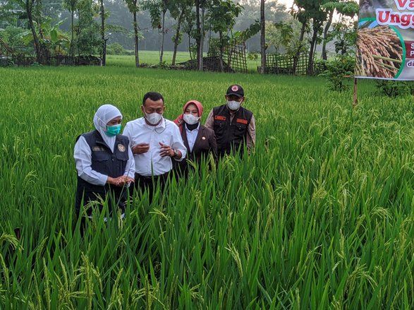 Terkait Varian Covid-19 B117, Pemprov Jatim Koordinasi dengan Pusat