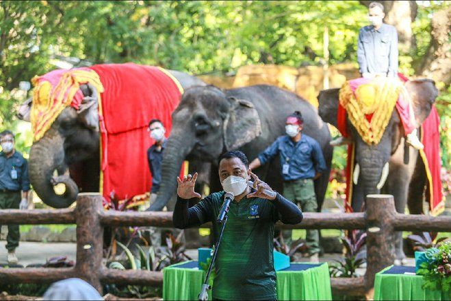 Gowes ke KBS, Cak Eri Jadi OTAS Komodo dan Gajah, Cak Ji Jalak Bali