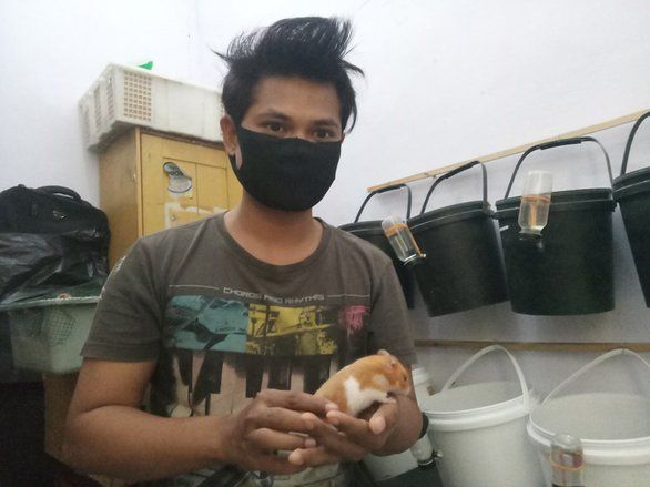 Cegah Covid, Mahasiswa di Jember Manfaatkan <em>Video</em> <em>Call</em> dalam Jual Beli Hamster