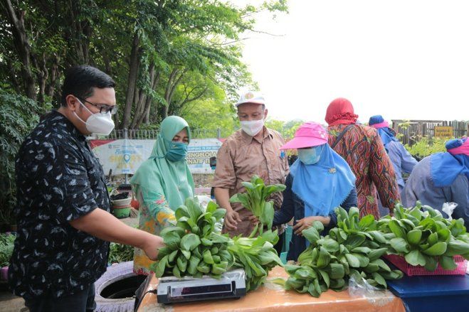 Panen Sayur Hidroponik di Kampung Juara Proklim KLHK