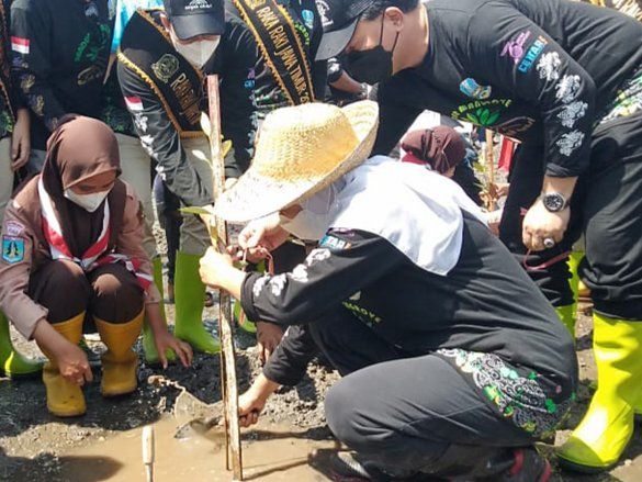 Pesan Khofifah saat Tanam Mangrove dan Cemara di Pantai Bohai Probolinggo