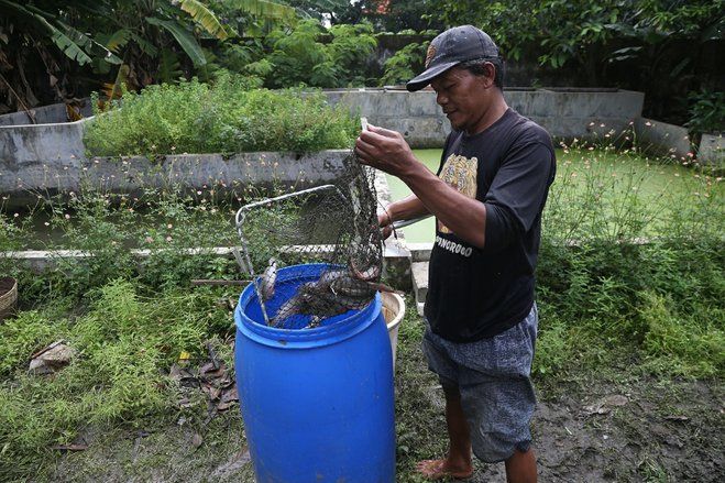 Bekas Tanah Kas Desa di Surabaya Diberdayakan untuk Tani dan Usaha Lain