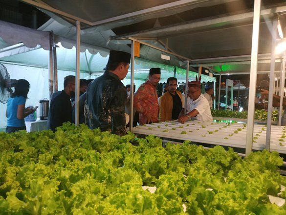 <em>Fastaman Green&nbsp;</em>Jadi Taman Edukasi <em>Urban Farming&nbsp;</em>Pertama di Sidoarjo