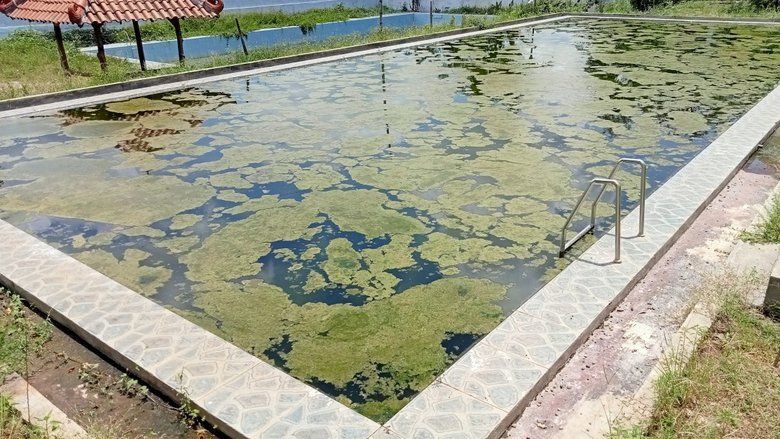 Telan Dana Rp 931 Juta, Kolam Renang di Desa ini Belum Bisa Buka