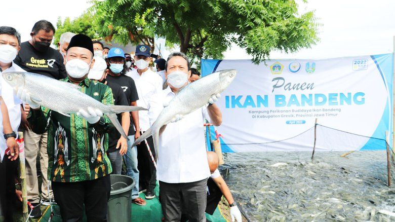 Menteri KKP Dorong Sertifikasi Produk Perikanan di Gresik Terutama Bandeng