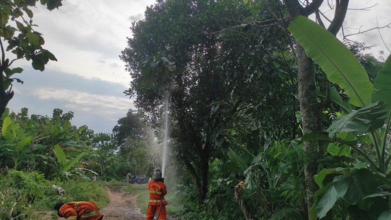 Evakuasi Sarang Tawon Setengah Meter, Petugas Damkar Mojokerto Disengat