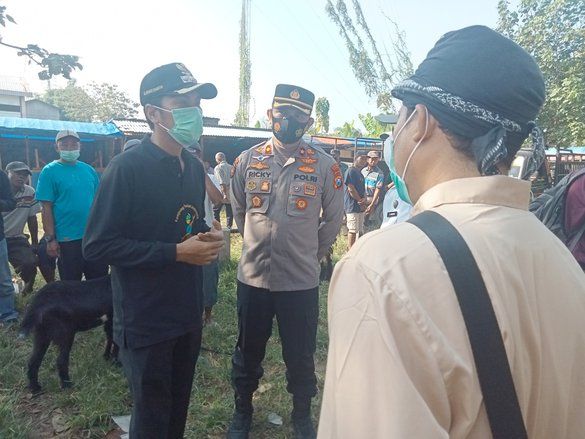 Tiga Hewan Ternak di Kabupaten Madiun Positif PMK