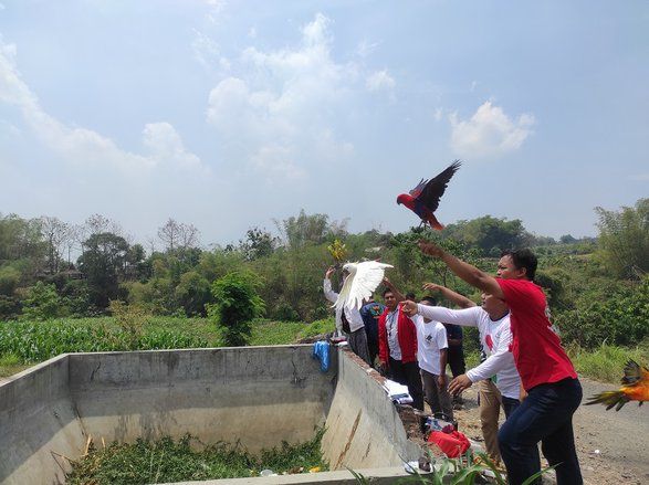 Peringati Hari Kakatua Nasional, Komunitas Pecinta Satwa Lepas Burung Lokal di Mojokerto