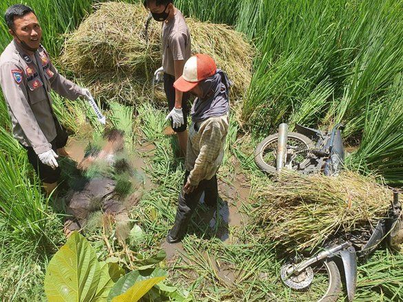 Petani Probolinggo Ditemukan Tewas usai Cari Rumput di Sawah