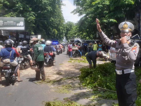 Komisi III DPRD Kota Probolinggo Bakal Gelar RDP Menyikapi Pohon Tumbang yang Telan 2 Korban