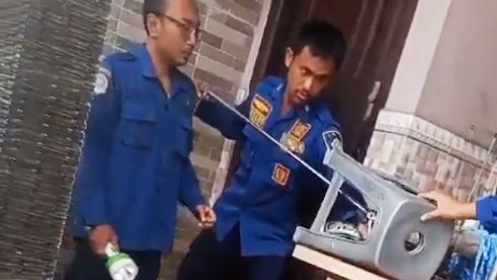 Heboh Ular Piton Lilit Mesin Jahit, Ibu Paruh Baya Menjerit