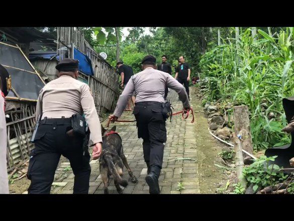 Polisi Pakai Anjing Pelacak Periksa Rumah Bandar Narkoba di Mojokerto, Ini Hasilnya