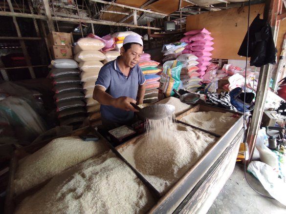 Dipengaruhi Panen, Harga Beras Premium Mulai Turun