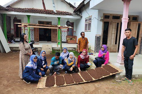 Dibantu Benih dan Sarpras, Produksi Tembakau Jawa di Probolinggo Meningkat