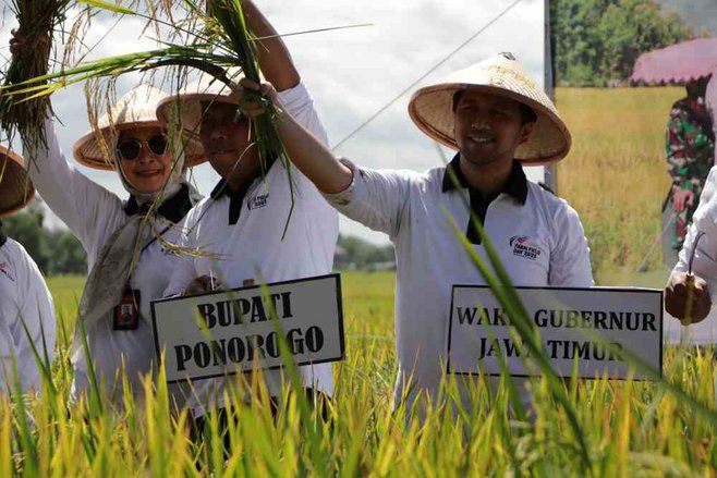 Wujudkan Ketahanan Pangan, Emiil Dardak Sebut Bukan Hanya Soal Angka dan Target