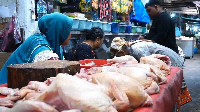 Pakar Pangan Ungkap Alasan Ayam Kerap Jadi Penyebab Keracunan Massal di MBG