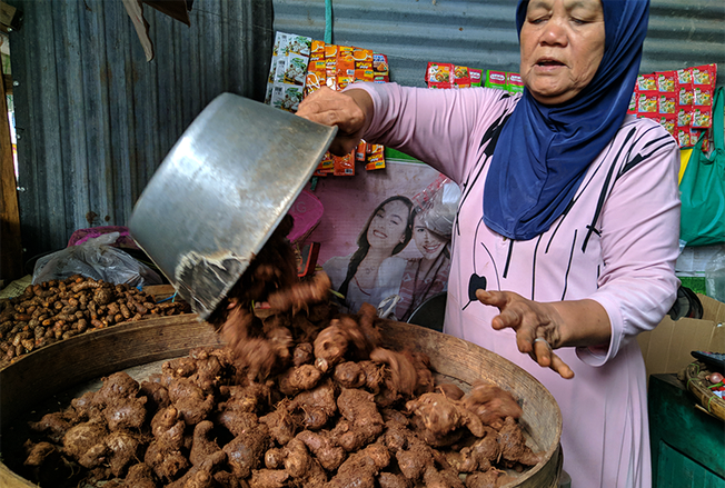 Virus Corona, Harga Jahe Merah Melangit
