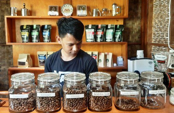 Hadapai Persaingan Kopi, PTPN XII Jalankan 2 Jurus Hadapi Brasil dan Kolombia