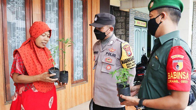 Harga Cabai Mahal, Polisi Gresik Bagikan Bibit Cabai Untuk Warga