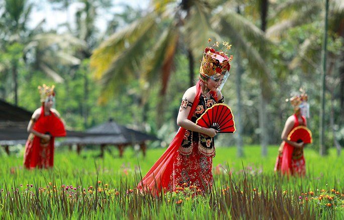 Bupati Banyuwangi Apresiasi Pengesahan Perdes yang Melindungi Sawah