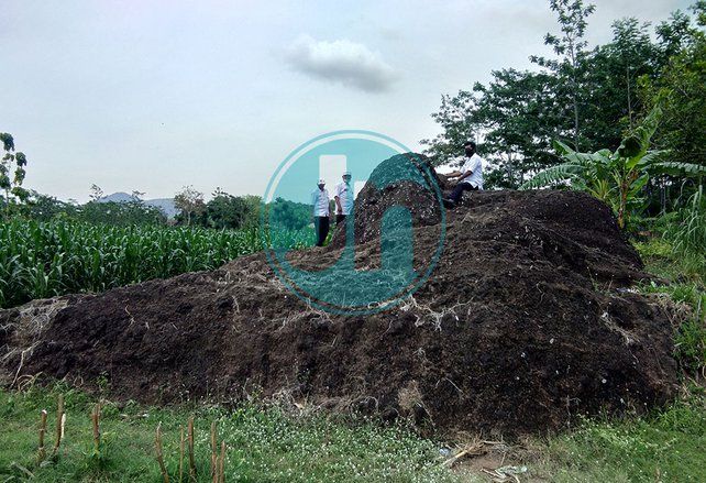 Menariknya Nama Desa Batu Gajah di Proboliggo, Begini Asal Muasalnya