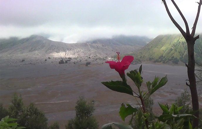 Kuota Kunjungan Wisatawan ke Gunung Bromo Terus Meningkat, Akan Tambah 50 Persen