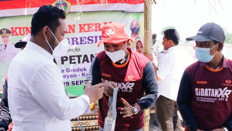Merugi Saat Panen Akibat Hama Tikus, Petani Gresik Wadul Bupati