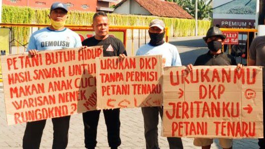 Sawahnya Terdampak, Petani di Gresik Unjuk Rasa Jalan Kaki