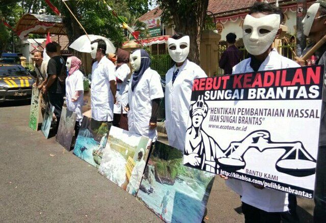 Kasus Ikan Mati Massal, Ecoton Kecewa Pemprov Jatim Tidak Terima Kenyataan