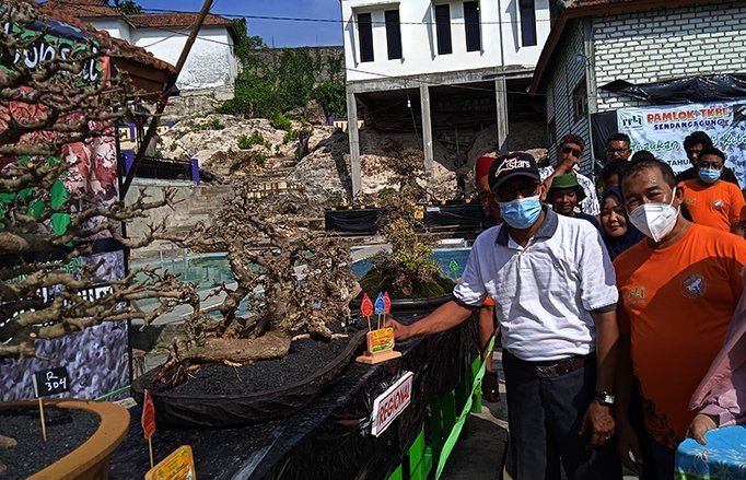 PPBI Lamongan Gelar Festival Bonsai dan Kenalkan Wisata