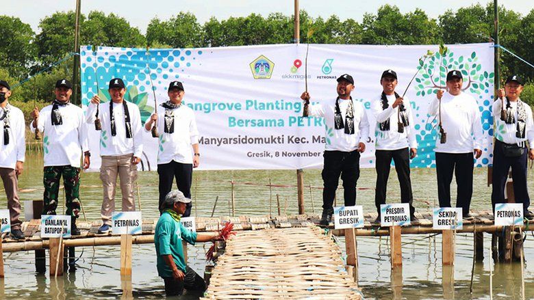 Pemda Gresik Bersama Petronas dan SKK Migas Tanam 10.000 Bibit Mangrove di Kalimireng