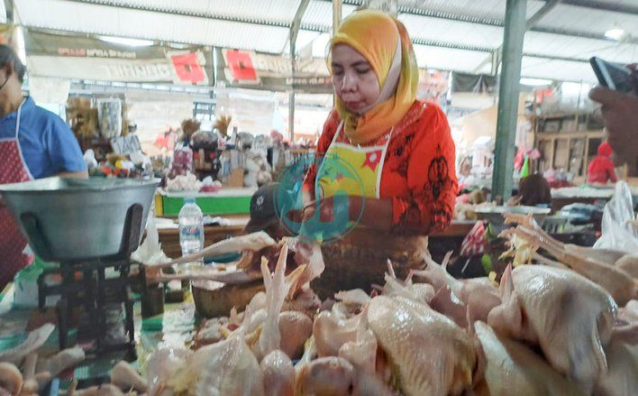 Ramadan, Harga Daging Ayam Naik, Disperindag Jatim Cari Penyebabnya