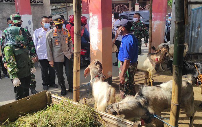 PPKM Darurat, Penjualan Hewan Kurban Merosot Sampai 50 Persen