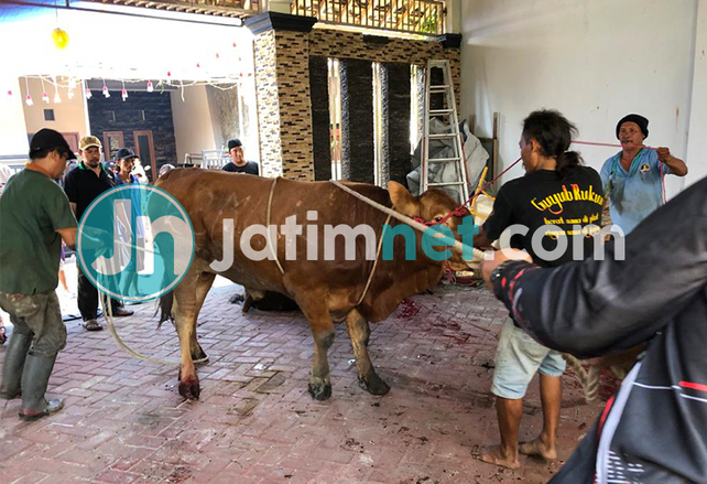 DLH Surabaya Sebar Petugas Pemantau Pemotongan Hewan Kurban
