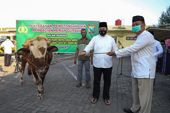 Teladani Kisah Nabi Ibrahim, Polres Mojokerto Sembelih 34 Hewan Kurban